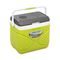 Изотерм. контейнер ELECTRIC автомобильный 30л зеленый (TPX-8000-30-G) PINNACLE