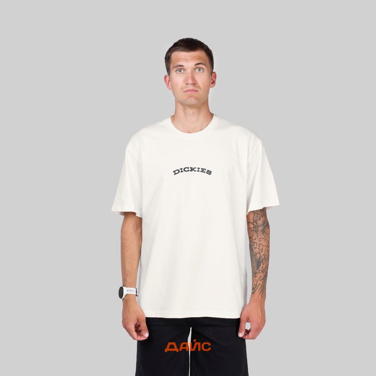 Футболка мужская Dickies Outdoor артикул:DK0A4Z8PC481 - купить в магазине Дайс