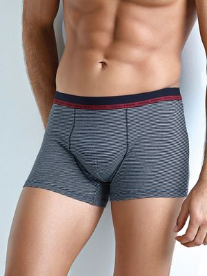 Комплект мужских трусов B208 Boxer (3 пары) Primal