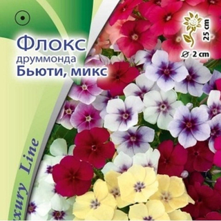 Флокс друммонда Бьюти, микс