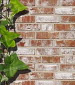 Roben, Geestbrand Bunt-weiss, облицовочная клинкерная плитка под старину, белый пестрый, NF