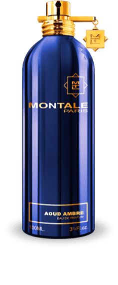 Montale Aoud Ambre