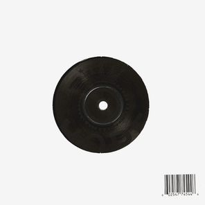 PJ Harvey / The Community Of Hope (7" Vinyl Single)