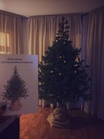 Искусственная ель на ножке «Датская» (хвоя Литая) 120 см / 1.2 м