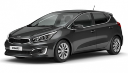 Упор (амортизатор) капота для Kia Ceed 2 (2012-2018) Autoinnovation.10-02