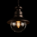 Уличный подвесной светильник Loft It Piemonte 100022P