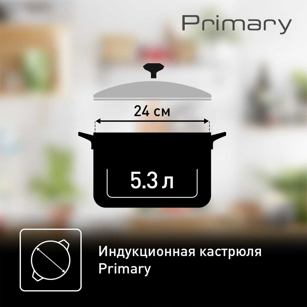 Кастрюля с крышкой Tefal Primary 24 см 5,2 л E3084674