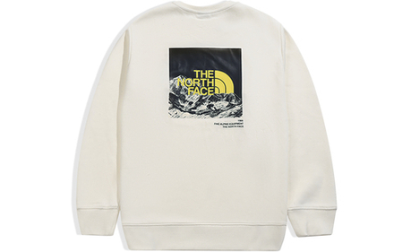 Толстовки THE NORTH FACE SS22 Logo, NF0A5K1D-N3N