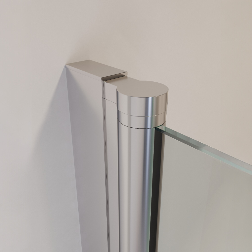 Душевая дверь RGW LE-008 (LE-003 + Z-09 + профиль A-14) (Прозрачное, 1100)