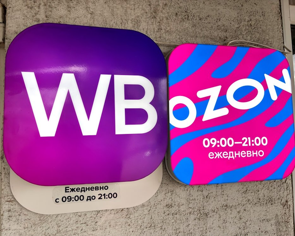 Владимир Потанин рассказал о желании купить Ozon или Wildberries