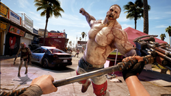 Dead Island 2 (диск для PS5, интерфейс и субтитры на русском языке)