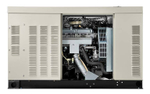 Электростанция газовая Generac RG0223P (17.6 кВт) 380 В
