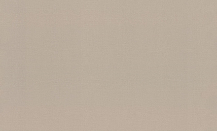 Rasch 1.06m*10m 983524 Novela Xl