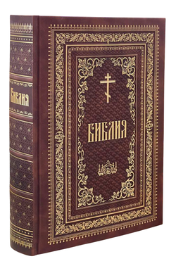 photo_2026-02-12_12-27-53-Photoroom