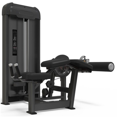 Сгибание ног AnyFit PE203-84