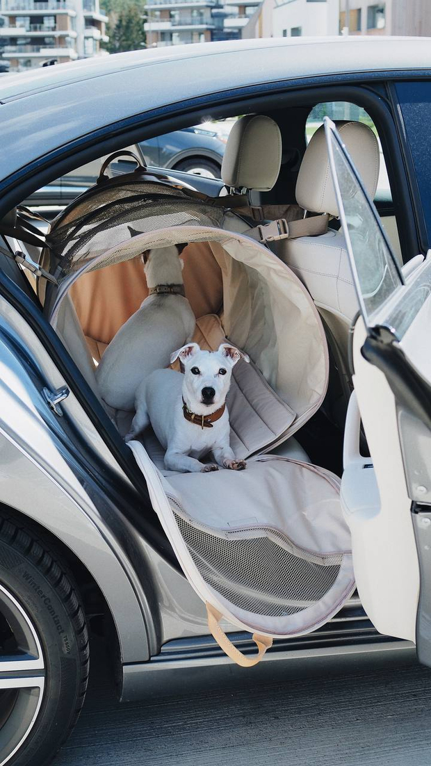 Перевозка для автомобиля Пони авто-доми Бежевый