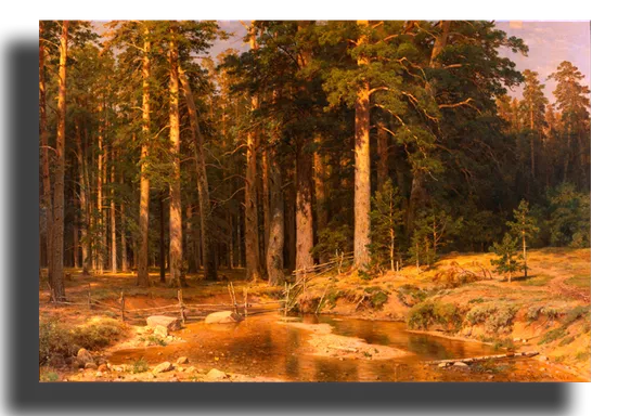 Репродукция "Шишкин - Корабельная роща"