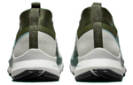 Кроссовки Nike Pegasus Trail 4 Gore-Tex