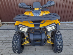 Квадроцикл MOTOLAND ATV 200 Wild Track