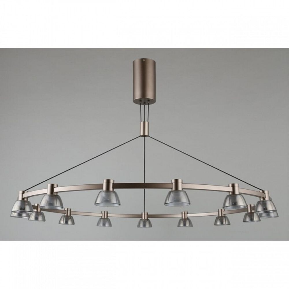 Подвесная люстра Aployt Rezeda APL.788.03.15