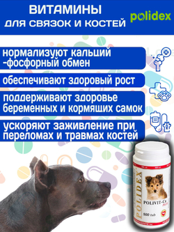 Кормовая добавка для профилактики нарушений обмена веществ, витаминной и минеральной недостаточности, укрепления костей и зубов у собак Polidex Поливит-Кальций плюс (Polidex),150т