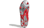 Кроссовки Adidas Predator Mania Fg