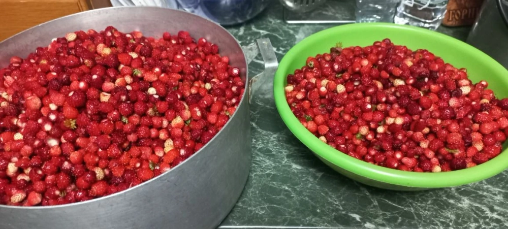 Варенье из лесной земляники