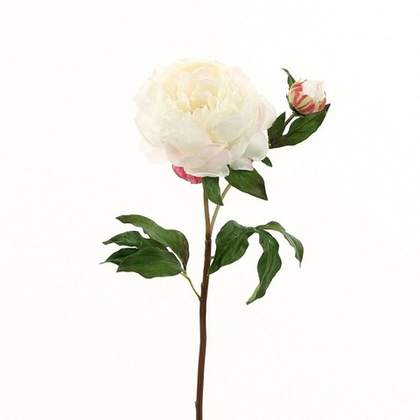 Пион белый с бутоном [Арт. TSF00364]