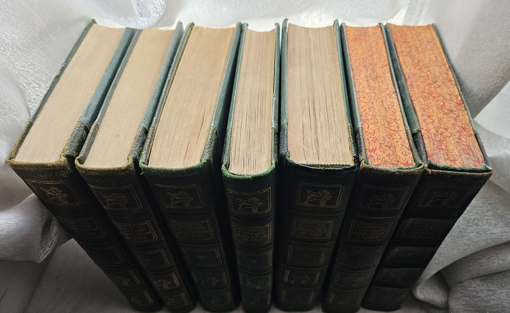 "История русской литературы XIX в. (в пяти томах) + Русская литература XX века ( в трех томах)". 1914г.