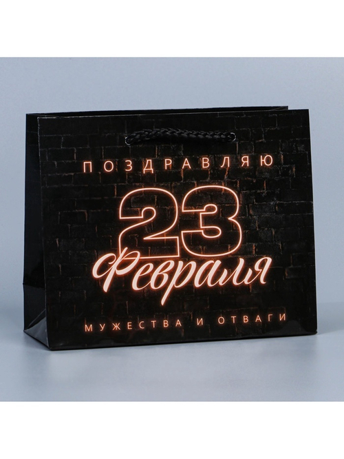 Пакет ламинированный, 23 февраля, 15х12х5,5 см