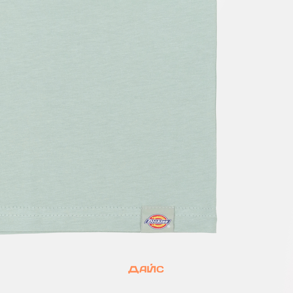 Футболка мужская Dickies Outdoor артикул:DK0A4Z8PK361 - купить в магазине Дайс