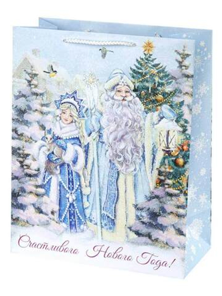 Бумажный пакет Дед Мороз и Снегурочка, 17.8Х22.9Х9.8.