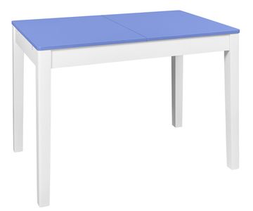 Стол обеденный Ирис 1250х800 (1850) (бук/прованс/подстолье тон 1)