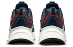 Кроссовки Nike Ryz 365 2 Sdc (Женская размерная сетка)