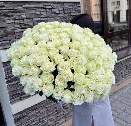 101 Роза mondial плантации Tessa corp