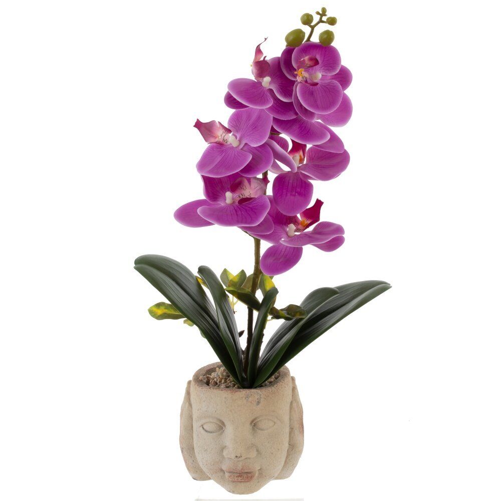 GAEM Цветочная композиция "Орхидея", L16,5 W14 H46,5 см