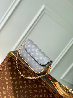 Louis Vuitton Ivy Wallet On Chain Bag