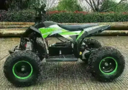 Электроквадроцикл MOTAX GEKKON 1300W