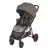 Прогулочная коляска Espiro Wave Mokka Taste (309)