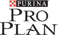Pro Plan