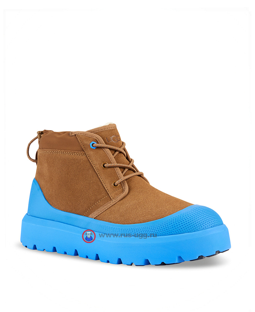 NEUMEL WEATHER HYBRID Chestnut/Navy