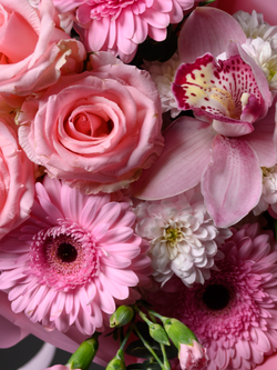 Нежный рассвет *