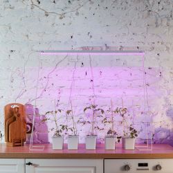 ULI-P13-35W-SPLE IP40 WHITE Светильник для растений светодиодный линейный. 1150мм. выкл. на корпусе. Спектр для фотосинтеза. TM Uniel