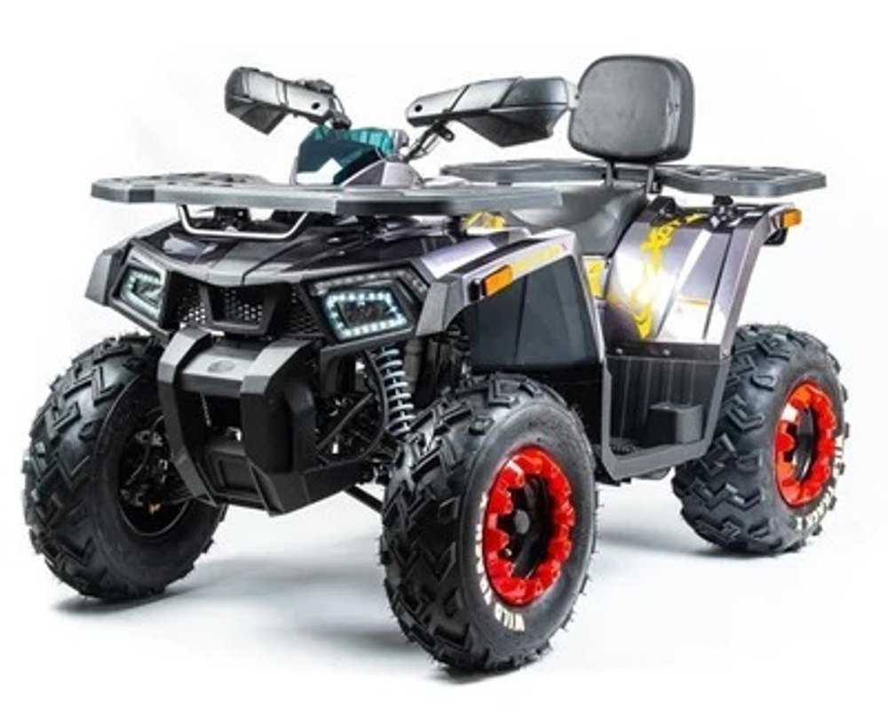 Квадроцикл MOTOLAND 200 WILD TRACK X PRO (2022)
