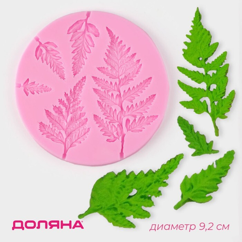 Молд листики папоротника