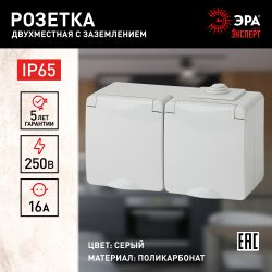 11-2603-03 ЭРА Розетка 2х2P+E гориз. IP65, 16A-250В, ОУ, серый