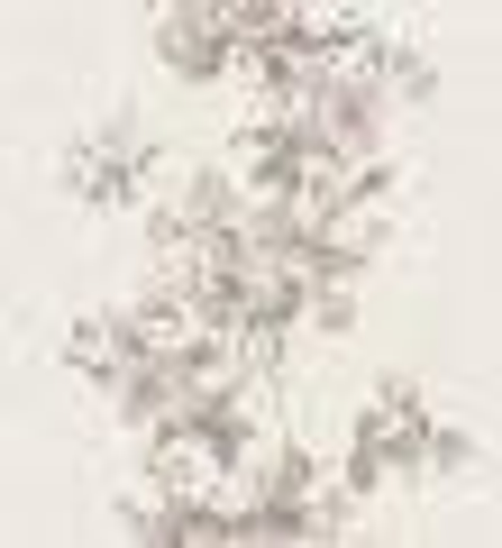 Обои Сар.С.6 Злата 05 Д946 гр.4 (12) 10,05/0,53