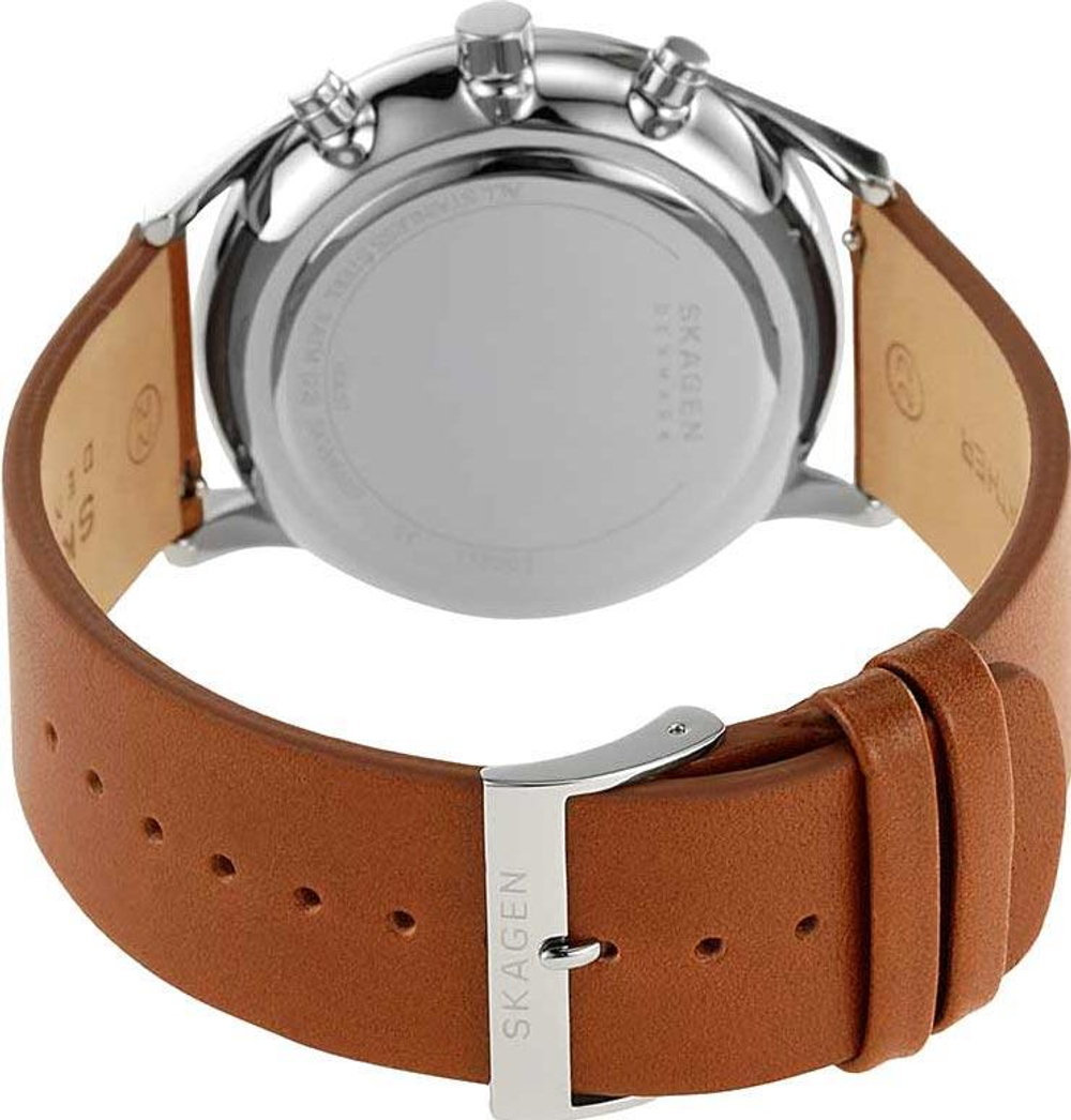 Мужские наручные часы Skagen SKW6607