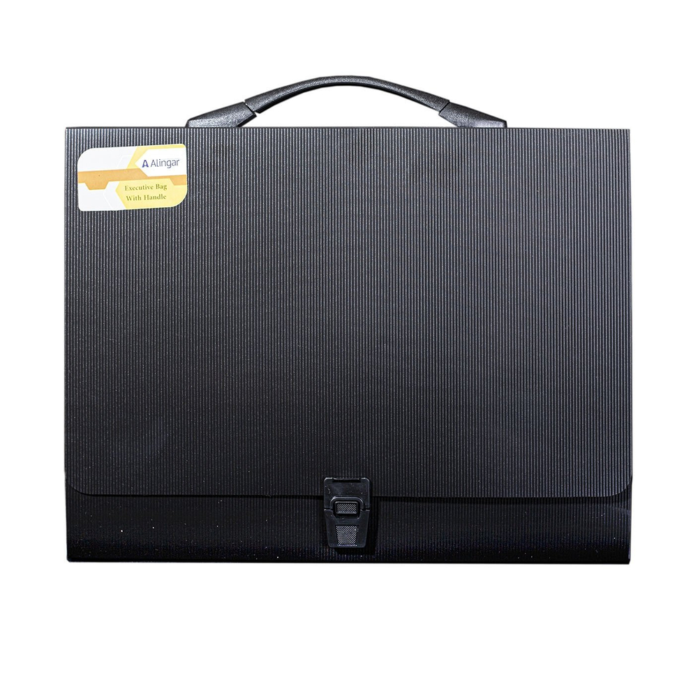 Папка-портфель на застежке Alingar, А4 360х265х40 мм, пластиковая, 800 мкм, ассорти, матовая, карман для визитки, "Flossy"