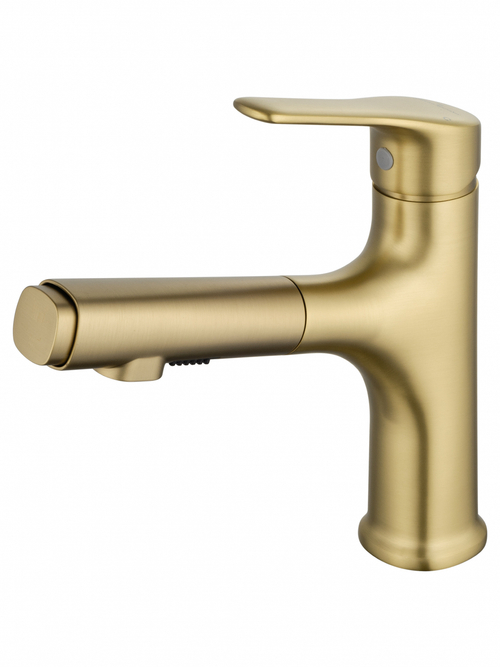 Смеситель для раковины с выдвижным изливом WONZON & WOGHAND, Брашированное золото (WW-AE4151-BG)